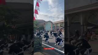 Download lagu PSHT Trenggalek Ramaikan Gerak Jalan Kemerdekaan RI 🇲🇨 #psht #shorts mp3