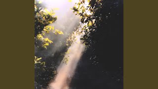 A Single Ray of Light