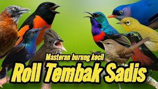 Download lagu MASTER BURCIL‼️ROLL TEMBAK SADIS FULL ISIAN TEMBAK PANJANG-PANJANG. mp3