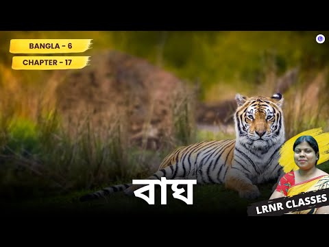 Chapter 17 Bagh by Nabonita Debsen | বাঘ - নবনীতা দেবসেন 