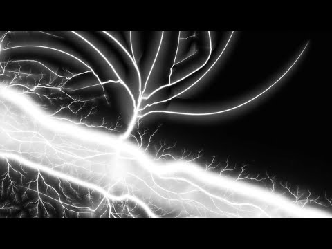 François Couturier: Voyage