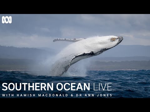 Southern Ocean Live