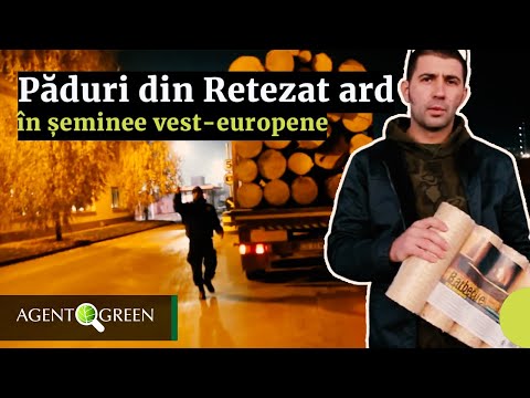 Tăieri ilegale în Valea Râu-Șes, Retezat