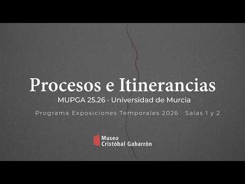 Procesos e Itinerancias · Testimonios