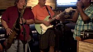 Ray with Andy Sexton and the Harbor Blues Band, Goin' Down to the Harbor Pub Tonight