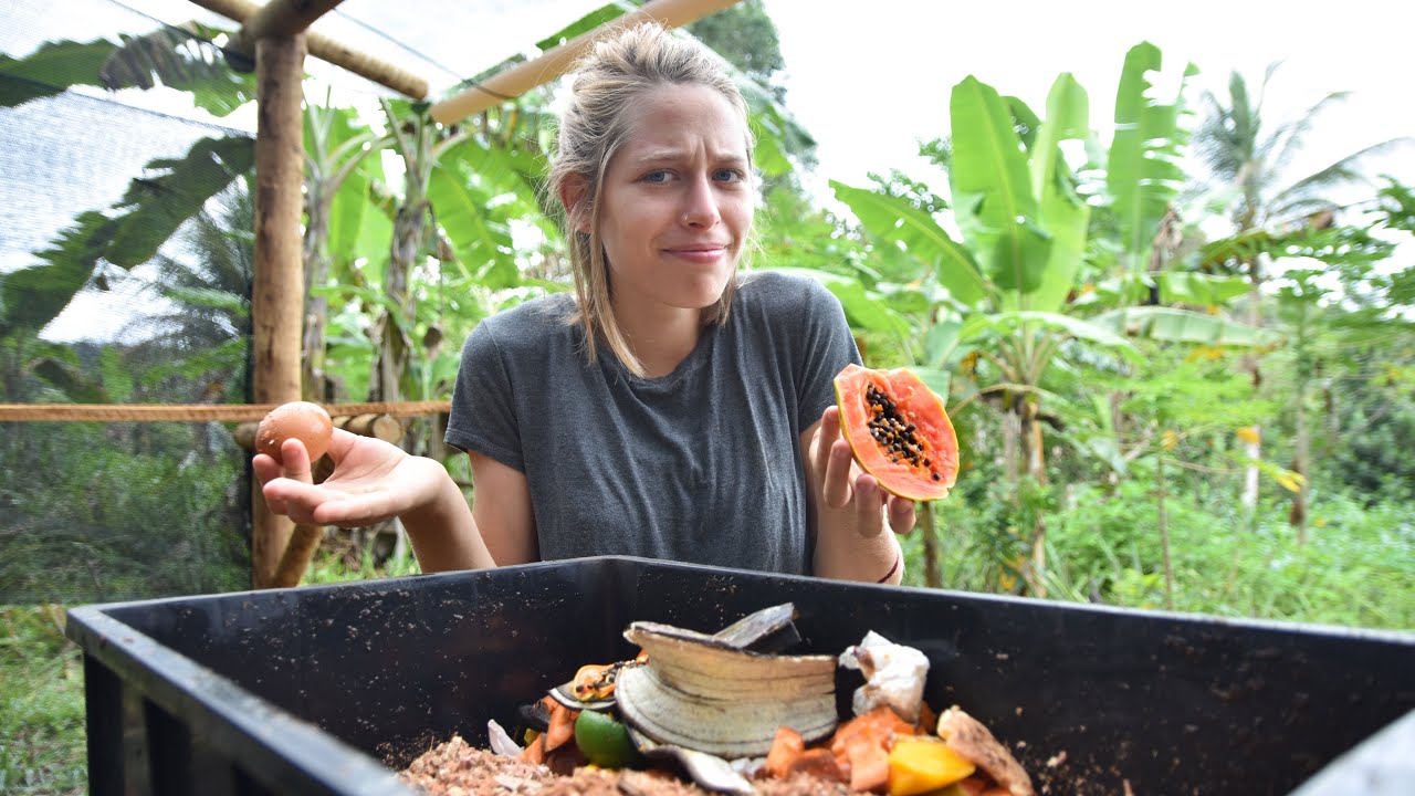 Alimentos que estragam sua compostagem!