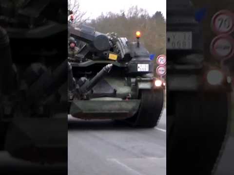 Keiler Biber Dachs Büffel