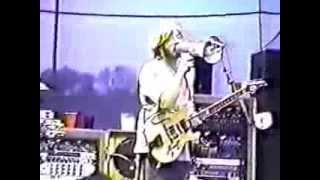 Phish 8/14/1996 - Hershey Park Stadium - Fee