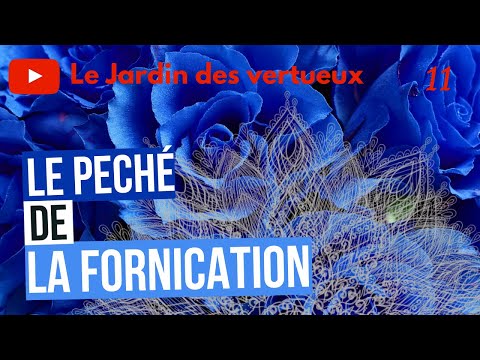 11/ The sin of fornication