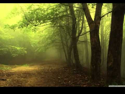 Besimi ne Diten e gjykimit  Hoxha - Shaban Tolaj (Hutbe)