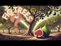 How The Fig Tree Became A LEGEND Unveiling Its Fascinating SECRETS And Facts