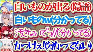 【※各視点あり】ぺこら(確信犯)の『隠語』を完全に理解して爆笑するノエマリと、何も分かっていない純粋無垢なフブさんw【ホロライブ切り抜き/兎田ぺこら/白上フブキ/宝鐘マリン/白銀ノエル/ホロテラリア】