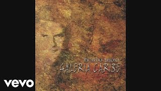 Ricardo Arjona - A Cara o Cruz (Cover Audio)