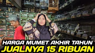 Download lagu UPDATE HARGA BURUNG WARNA CANTIK DAN EXOTIC AKHIR TAHUN DIKIOS PASAR BURUNG PRAMUKA mp3