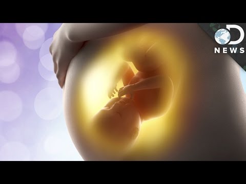 妊娠するのは難しい? (How Hard Is It To Get Pregnant?)