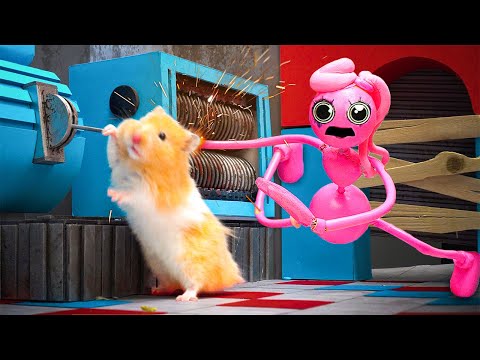 Mommy Long Legs Was Trapped - Smart Hamster Destroys Monsters In Poppy Playtime Maze