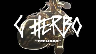 Feelings Music Video