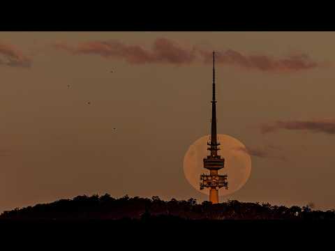 Timing Issue Tech Guide Editor Discusses Telstra S Outage