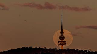 ‘Timing issue’: Tech Guide Editor discusses Telstra’s outage