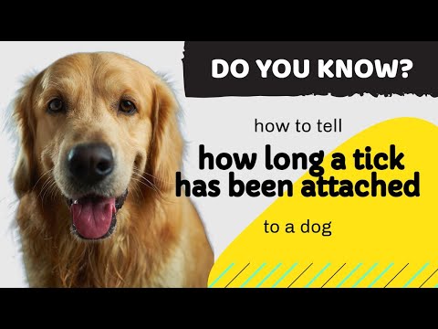 how to tell how long a tick has been attached to a dog? | Dog owners MUST see this!
