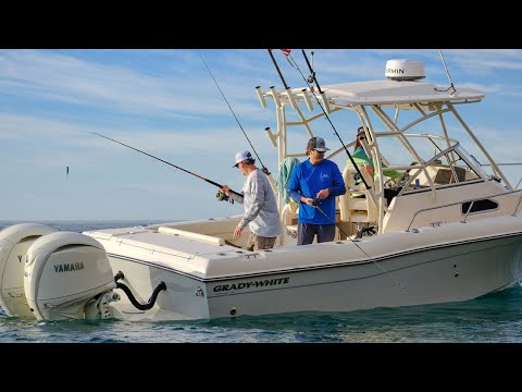 Hook the Ultimate Catch with the Grady-White Gulfstream 232
