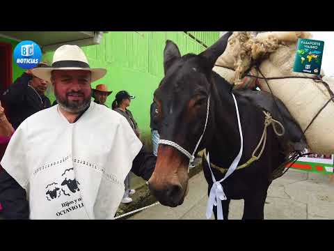 Marulanda celebra su identidad ovina con más de 2.000 ovejas en desfile