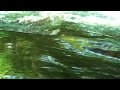Julie Doiron - Glad to be alive