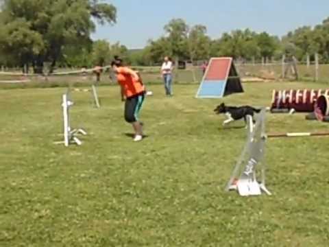 TordasZoo-2012.05.20. Jenny&Whisky LA1 2. futam