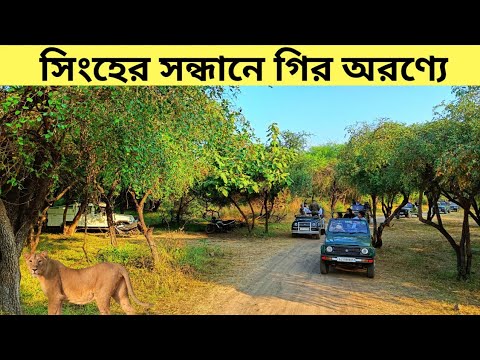 গির ন্যাশনাল পার্ক || Gir National Park || Devalia Safari || Gir Lion