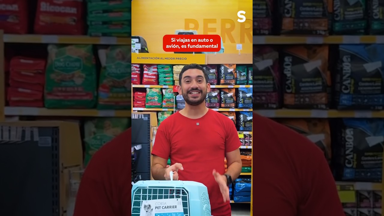 Accesorios para viajar con tu mascota