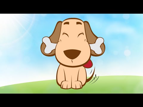 Puzzles of a dog Video