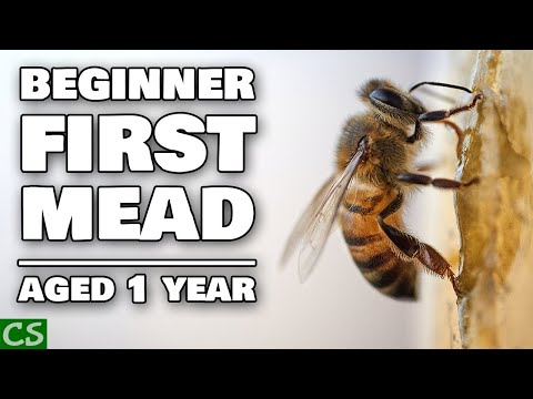 Beginner Mead Tasting (My First Mead) ONE YEAR LATER!