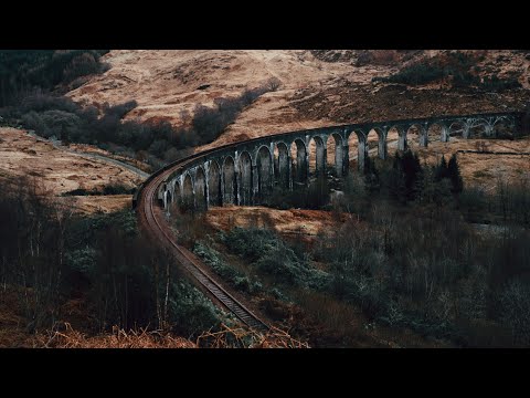 D-WAYZZ - Won't Let Go | (ft. Micah Martin) | Sound Trackzz | No Copyright Music