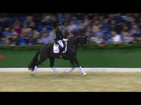 DANCIER GOLD - www.gestuet-sprehe.de