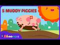 5 MUDDY PIGGIES Countdown Song For Kids The Kiboomers