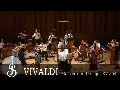 Vivaldi | Concerto in D major for 2 violins, 2 cellos, strings, continuo RV 564