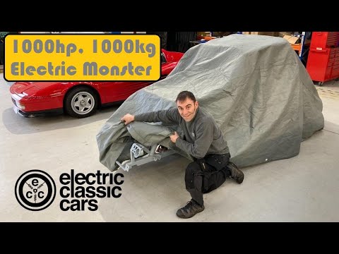 Tesla Plaid slayer revealed.