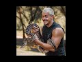 Dean Schneider Dean Schneider Lion Pride Whatsapp Status