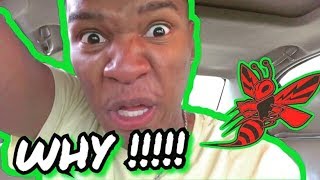I F**KN HATE WASPS ! 😂