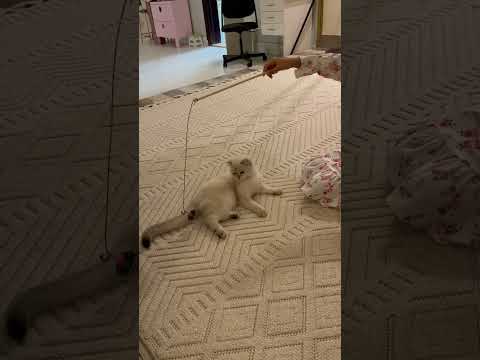 🥳🥳🥳🥳🥳🥳🥳