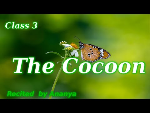 The Cocoon poem recital | 3rd Standard English Poem By E Jacobson