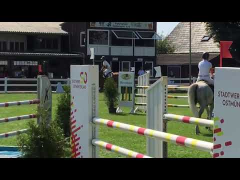 Zidan v. Zinedine-Sandro Turnier Ostbevern, Springpferde M