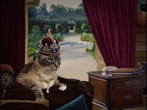 Our King Valdemar-Documentary