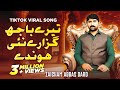 Mera Kamla Dhola Pyar De Vich Tenu Kain De Akhy Kyon Chadna Tere Bajh Guzare Zaigham Abbas Dard