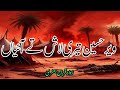 Veer Hussain Tedi Lash Noha Lyrics Qurban Jafri Noha Arbaeenimamhussainع Chehlumnoha Qurbanjafri