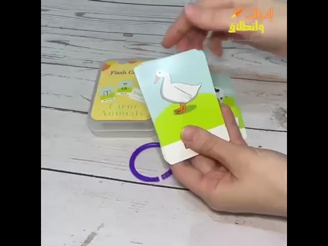 حقيبة رحلة التركيز والانتباه