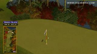 preview picture of video 'Golden Tee Great Shot on Sunny Wood!'
