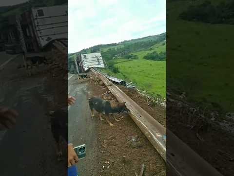 Carreta tomba em curva da MGC-491 e chama atenção de motoristas em Monte Belo