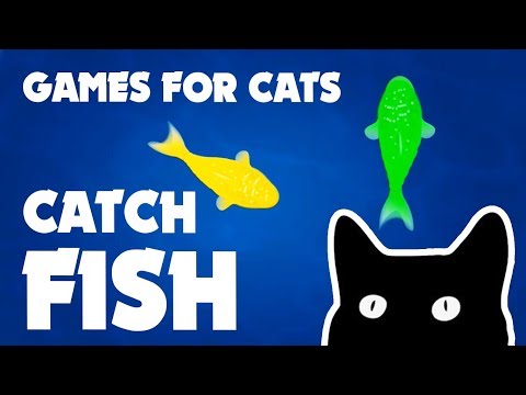 FISH GAME FOR CATS games for cats - YouTube