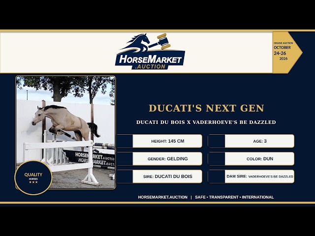 Ducati's Next Gen